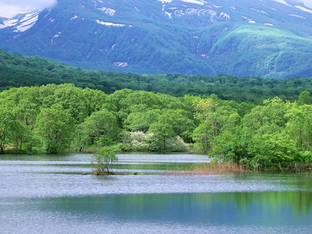 99063147_72A 日本国憲法