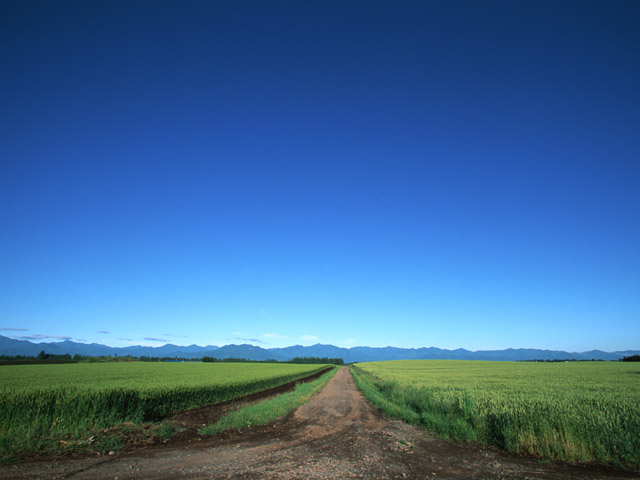 99083062_72A About us